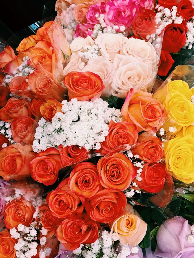 Roses - Flowers - Featured Content - Lovingly