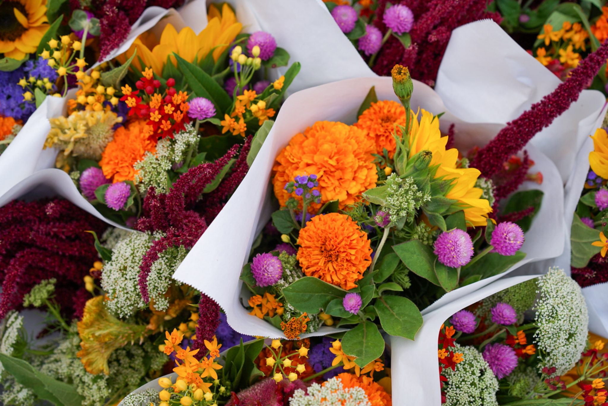 Floral Therapy: How Flowers Positively Impact Mood